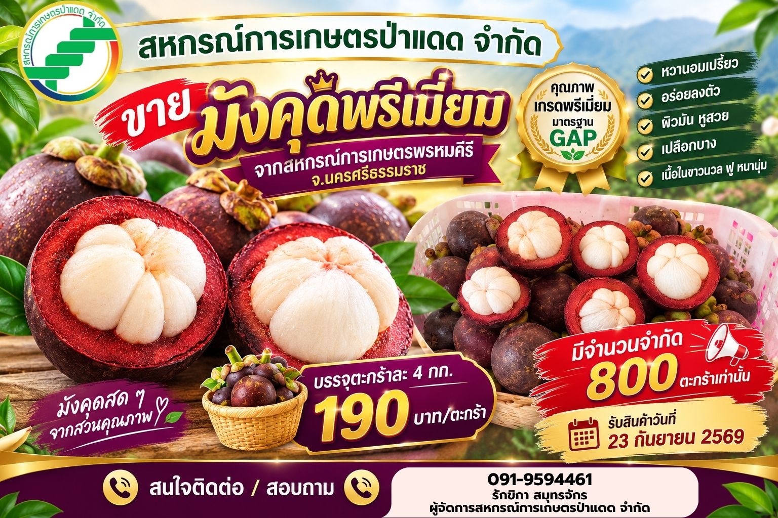เปิดรับจอง “มังคุดพรีเมียม” จาก สหกรณ์การเกษตรพรหมคีรี จังหวัดนครศรีธรรมราช