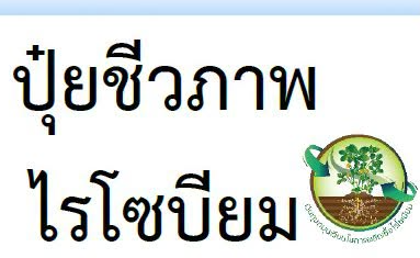 ก้าวไกลกับกรมวิชาการเกษตร (ปุ๋ยชีวภาพไรโซเบียม)